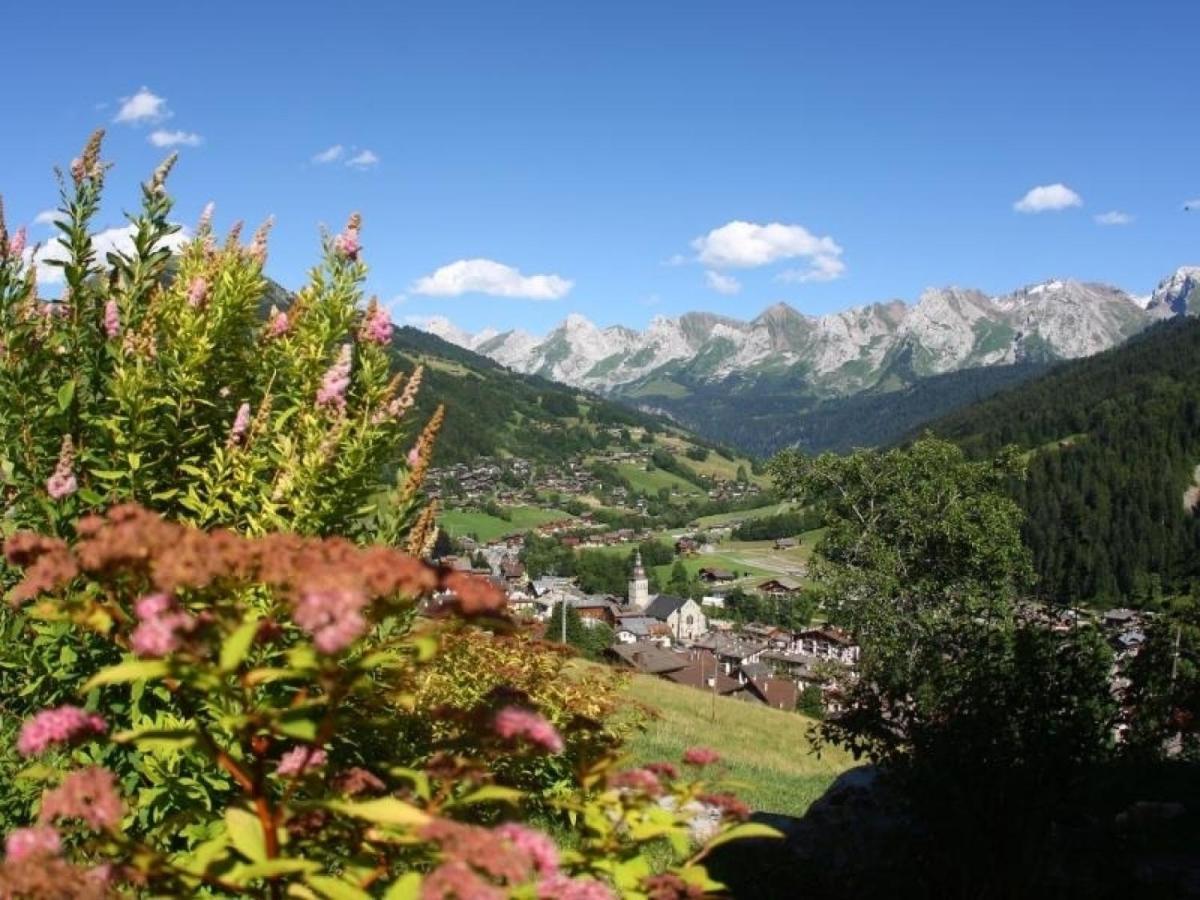 Studio Montagnard Au Coeur Du Grand-Bornand - Acces Bien-Etre Et Proximite Pistes - Fr-1-467-30 Apartment *